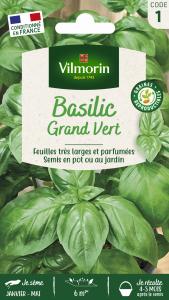 Basilic Grand Vert